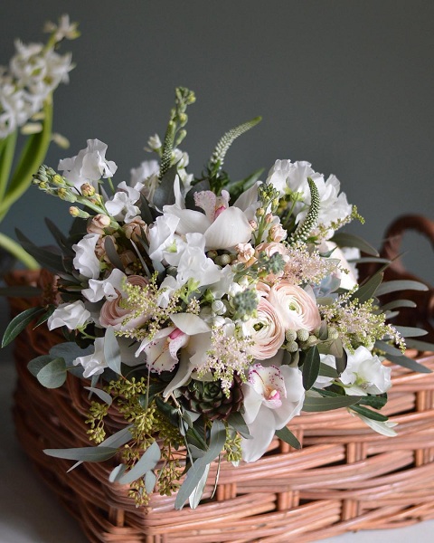 Cymbidium Orchids With Succulents